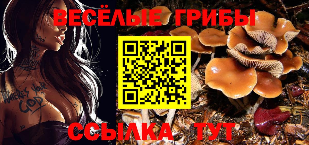 Галлюциногенные грибы мухоморы Рославль