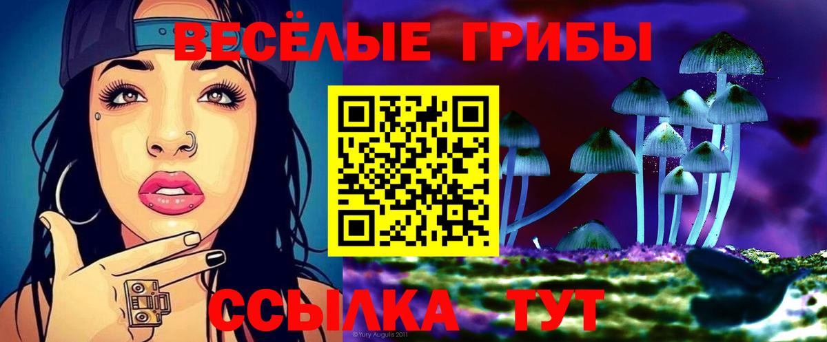 Рославль  Псилоцибиновые грибы GOLDEN TEACHER  Вход с VPN 